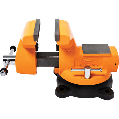 Mechanic's Bench Vise with Anvil, 6" Jaw Width Sécurité Médic