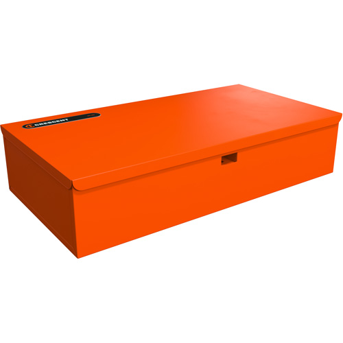 RAILWORKS Top Shelf Lockable Flat Workstation Sécurité Médic
