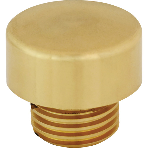 Replacment Hammer Tip for Dead Blow Hammer Sécurité Médic