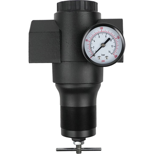 Aluminum Regulator, 1-1/2" NPT, 300 psi Max. PSI, In Line Sécurité Médic
