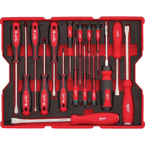 Jeu de tournevis et de leviers avec organisateur pour tiroirs PACKOUT, 17, Magn&eacute;tique Sécurité Médic