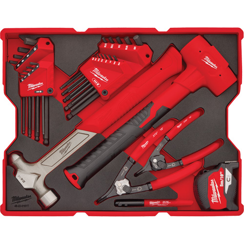 Hex Key & Hammer Set with Tray for PACKOUT Drawers Sécurité Médic
