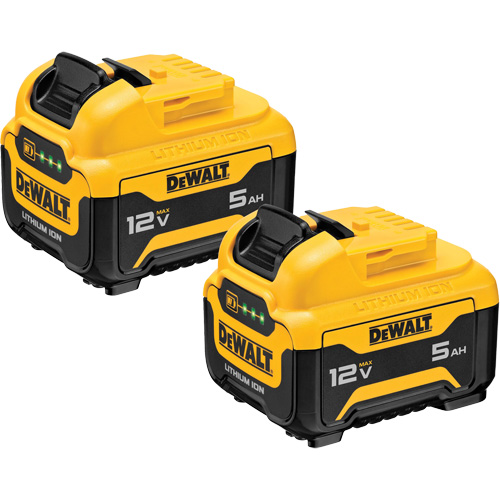 Max* Battery Packs, Lithium-Ion, 12 V, 5 Ah Sécurité Médic