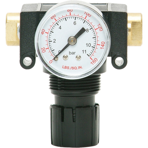 MODULAIR 200 Acetal Piston Regulator, 1/4" NPT, 150 PSI Max. PSI, In Line/Modular Sécurité Médic