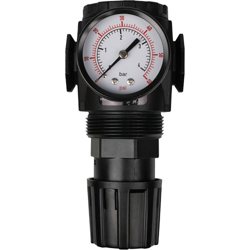 MODULAIR 300 Compressed Air Regulator, 1/2" NPT, 300 psi Max. PSI, In Line/Modular Sécurité Médic