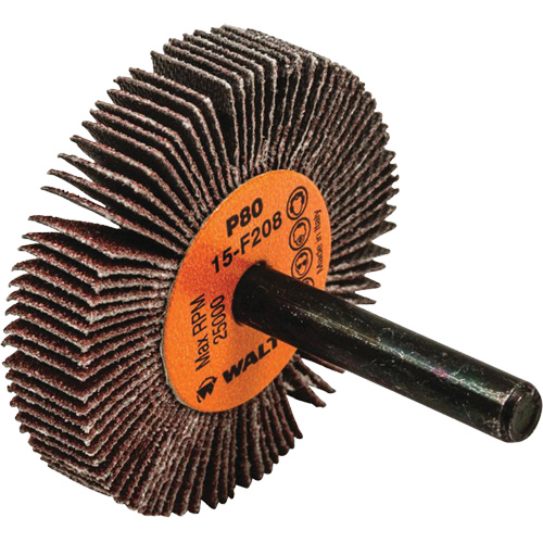 Disques &agrave; lamelles - Meules &agrave; lamelles Coolcut, Oxyde d'aluminium, Grain 80, 2" x 3/8" x 1/4" Sécurité Médic