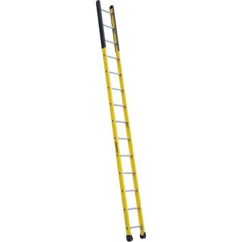 &eacute;chelle &eacute;troite pour trou d'homme, 14', Fibre de verre, 375 lb, CSA calibre 1AA Sécurité Médic