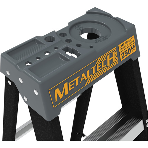 Escabeau, 10', Fibre de verre, Capacit&eacute; 250 lb, Type 1 Sécurité Médic