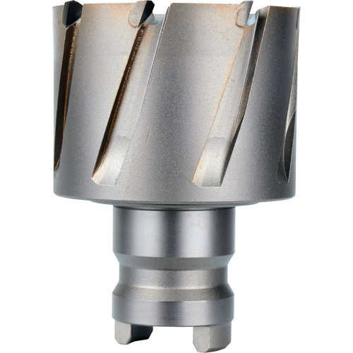 Quick Change Tang Drive Hawg&reg; Cutter, 2" Diameter, Steel, 1" Depth of Cut Sécurité Médic