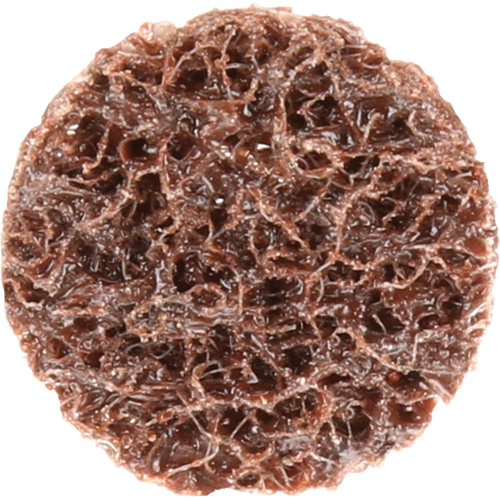 Standard Abrasives Quick-Change Surface Conditioning Disc, 3/4" Dia., Coarse Grit, Aluminum Oxide Sécurité Médic