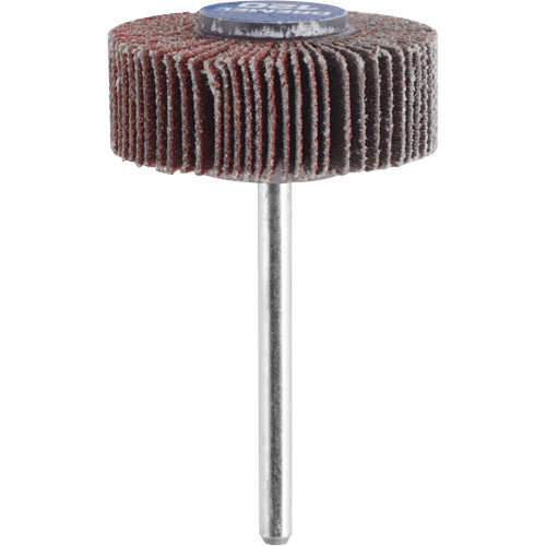 M&egrave;che de ponçage &agrave; roue &agrave; lamelles 3/8" - grain 120 Sécurité Médic