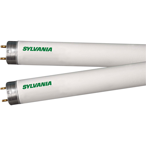 Lampes fluorescentes, 32 W, T8, 4100 K, Longueur de 48" Sécurité Médic