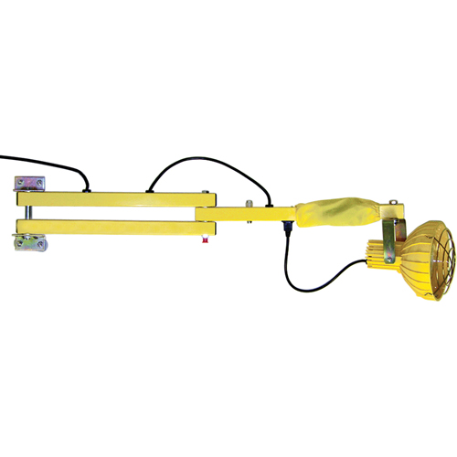 Lampes avec bras flexible pour quais, Ampoule Incandescente, Bras 40" Sécurité Médic