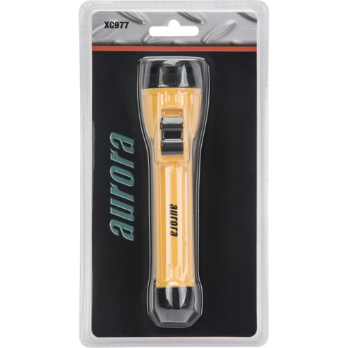 Lampe de poche AFL100, DEL, 28 lumens, Piles AA Sécurité Médic