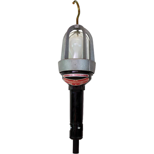 Baladeuses pour emplacements dangereux, DEL, 20 W, 2400 Lumens Sécurité Médic