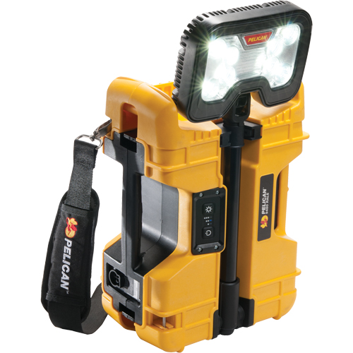 9480 Remote Area Lighting Systems, LED, 41.1 W, 4000 Lumens, Plastic Housing Sécurité Médic