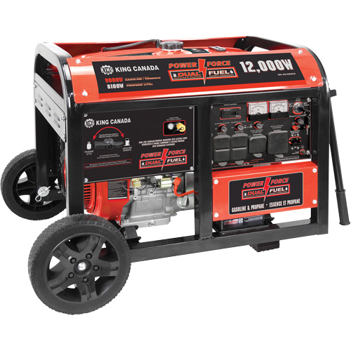 Gasoline/Propane Generator with Electric Start Sécurité Médic
