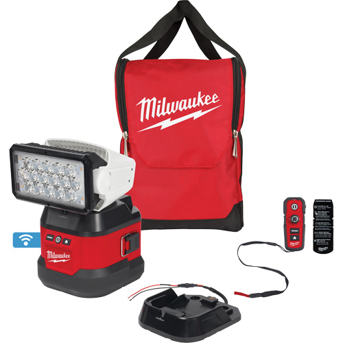 Ensemble d'&eacute;clairage orientable polyvalent &agrave; t&eacute;l&eacute;commande, DEL, 4250 lumens Sécurité Médic