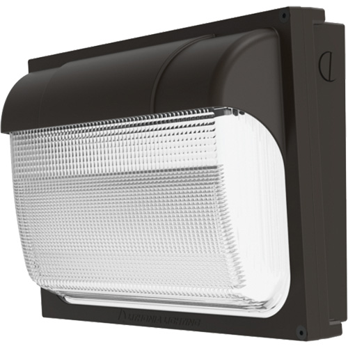 Bloc d&eacute;clairage ajustable TWX ALO Contractor Select, DEL, 120 - 277 V, 54 W, 9" ha x 13" la x 4,5" p Sécurité Médic