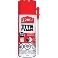 Titefoam Gaps & Cracks Insulating Foam Sealant, Aerosol Can, White Sécurité Médic