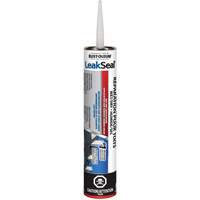 LeakSeal&reg; Wet/Dry Roof Repair Sécurité Médic
