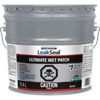 LeakSeal&reg; Ultimate Wet Roof Patch Sécurité Médic