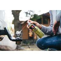 Gel lubrifiant pour remorque 3-in-One, Canette a&eacute;rosol Sécurité Médic