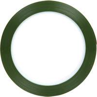 Ruban en polyester, Polyester, 25,4 mm (1") la x 66 m (216') lo, 1,9 mils &eacute;pais Sécurité Médic