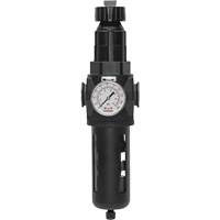 Modulair 400 Filter/Regulator with Manual Drain, 3/4" NPT, 200 psi, 9.1 fl. oz. Capacity Sécurité Médic