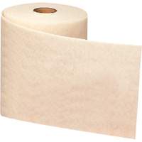 Ruban de nettoyage et de finition Scotch-Brite, Tr&egrave;s fin, Oxyde d'aluminium, 4" la x 30' lo Sécurité Médic
