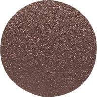 Wood Sanding Disc, 12" Dia., 60 Grit Sécurité Médic