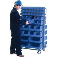 Double-Sided Mobile Bin Rack, Double-sided, 96 bins, 36" W x 24" D x 63" H Sécurité Médic