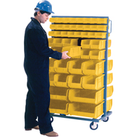 Double-Sided Mobile Bin Rack, Double-sided, 96 bins, 36" W x 24" D x 63" H Sécurité Médic