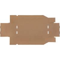Boîtes profondes en carton ondul&eacute;, 7-3/4" la x 17-1/4" p x 4-1/2" h, Beige Sécurité Médic