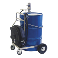 LD Series Air-Operated Oil Pump, 7.8 GPM, 3:1 Pressure Ratio Sécurité Médic
