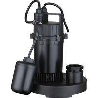 Thermoplastic Submersible Sump Pump, 2560 GPH, 115 V, 4.6 A, 1/3 HP Sécurité Médic