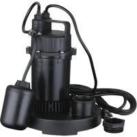 Thermoplastic Submersible Sump Pump, 2560 GPH, 115 V, 4.6 A, 1/3 HP Sécurité Médic