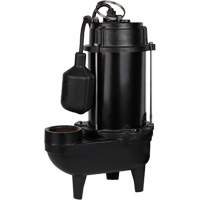 Cast Iron Effluent Pump, 4800 GPH, 120 V, 7.8 A, 1/2 HP Sécurité Médic