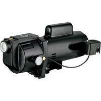Dual Voltage Cast Iron Shallow Well Jet Pump, 115 V/230 V, 1260 GPH, 1 HP Sécurité Médic