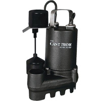 Cast Iron Submersible Sump Pump with Vertical Float Switch, 67 GPM, 33 V, 5 A, 1/3 HP Sécurité Médic