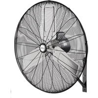 Non-Oscillating Wall Fan, Industrial, 2 Speed, 30" Diameter Sécurité Médic