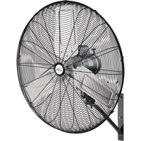 Oscillating Wall Fan, Industrial, 2 Speed, 30" Diameter Sécurité Médic