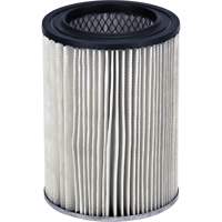 Ridgid&reg; Shop Vacuum Wet/Dry Filter, Cartridge Sécurité Médic