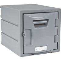 Locker, 12" x 15" x 12", Grey, Assembled Sécurité Médic