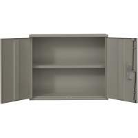 Armoire murale, Acier, 2 Tablettes, 30" h x 36" la x 12" P, Gris Sécurité Médic