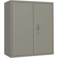 Armoire de rangement Lo-Boy, Acier, 2 Tablettes, 40" h x 36" la x 18" P, Gris Sécurité Médic