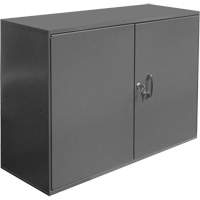 Armoire pour accessoires abrasifs, Acier, 2 tiroirs, 33-3/4" x 11-7/8" x 23-7/8", Gris Sécurité Médic