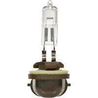 886 Basic Fog Light Bulb, Halogen, 50 W, Off White Sécurité Médic