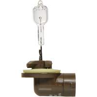 886 Basic Fog Light Bulb, Halogen, 50 W, Off White Sécurité Médic