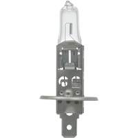 64155 Basic Automotive Bulb, Halogen, 78 W, Off White Sécurité Médic